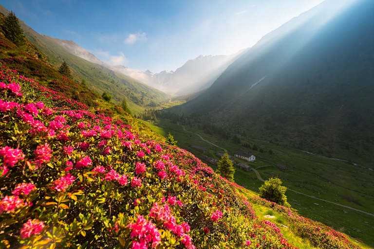 Frühling in den Bergen Italiens, Lombardei