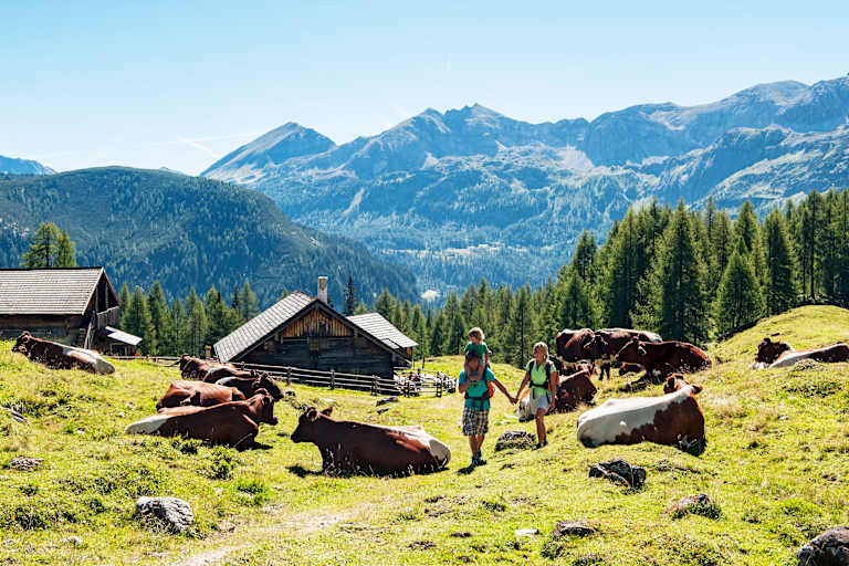 Berghütten und Almen: Ein Sommer-Paradies für Kinder