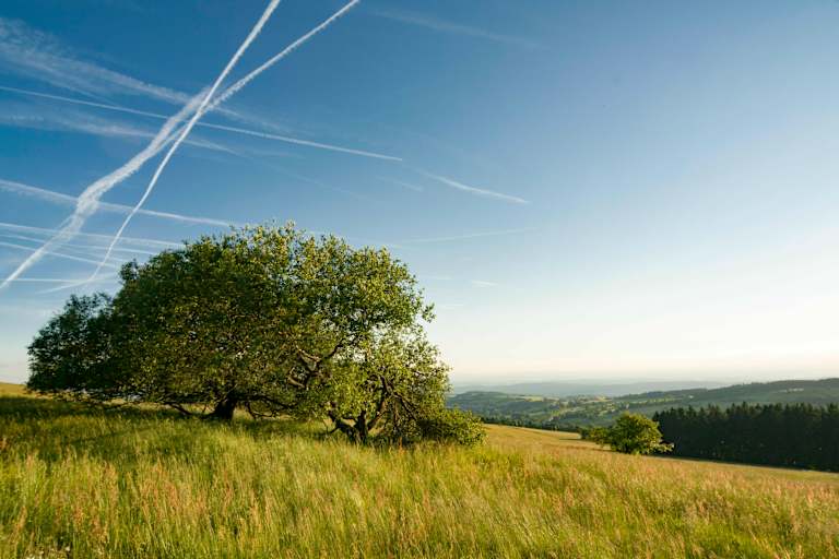 Blick vom Hoherodskopf am Vogelsberg in Hessen