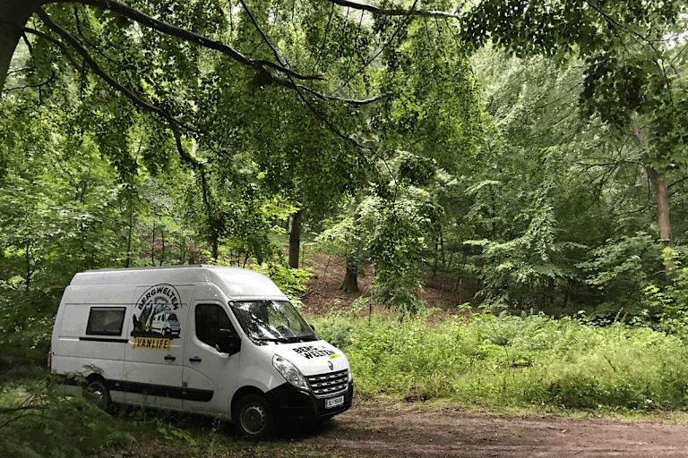 Lauras Schlafplatz im Wald von Møns Klint