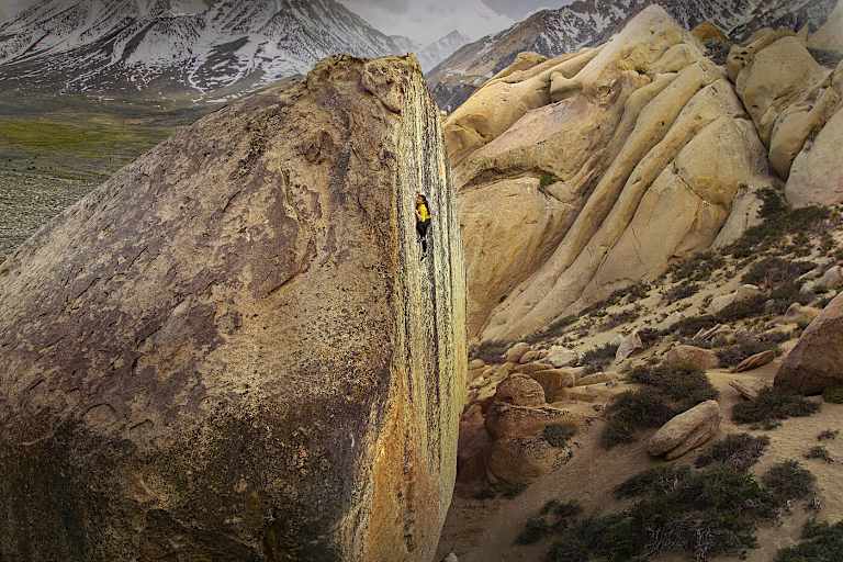 Nina Williams The High Road