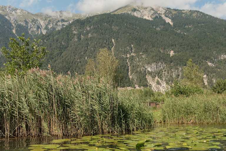 Pressegger See