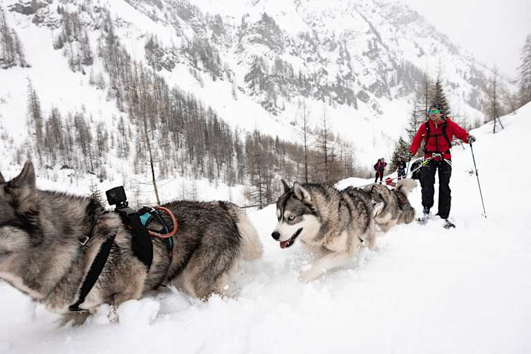 Marvin Kerle wird von Huskys durch das verschneite Lechtal gezogen