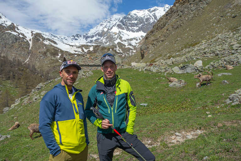 pw_19_bergwelten_gran_paradiso_knigreich_fr_steinbcke_und_kletterer