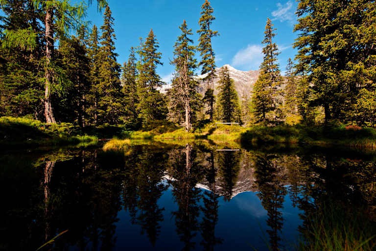 Moortümpel im Rauriser Urwald: Wandern in der Goldberggruppe in Salzburg