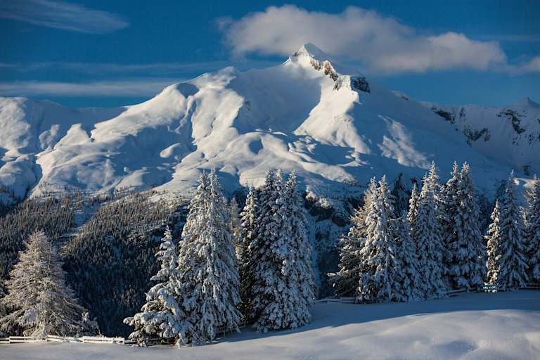 Schlitteln am Churer Hausberg, dem Brambrüesch