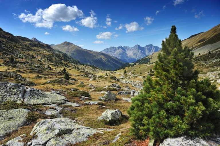 Wunderschöne Landschaft im Schweizer Nationalpark