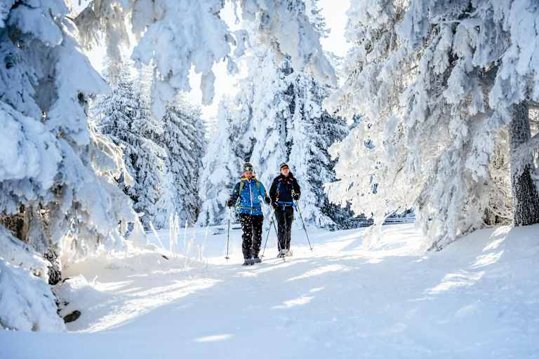 Schneeschuhwandern