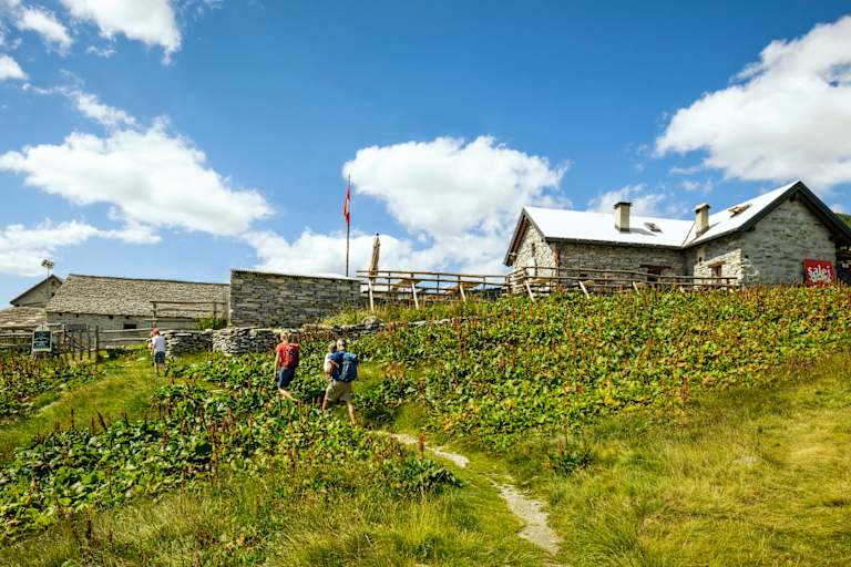 Wanderer erreichen eine kleine Berghütte.