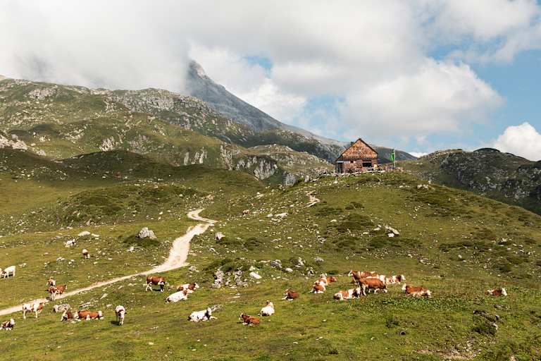 Vegane und vegetarische Hütten - Franz Fischer Hütte