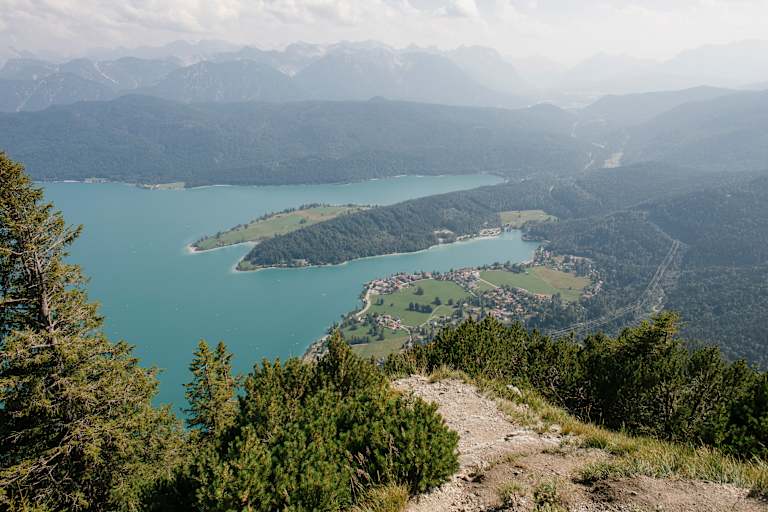Blick vom Herzogstand auf den Walchensee in Bayern.