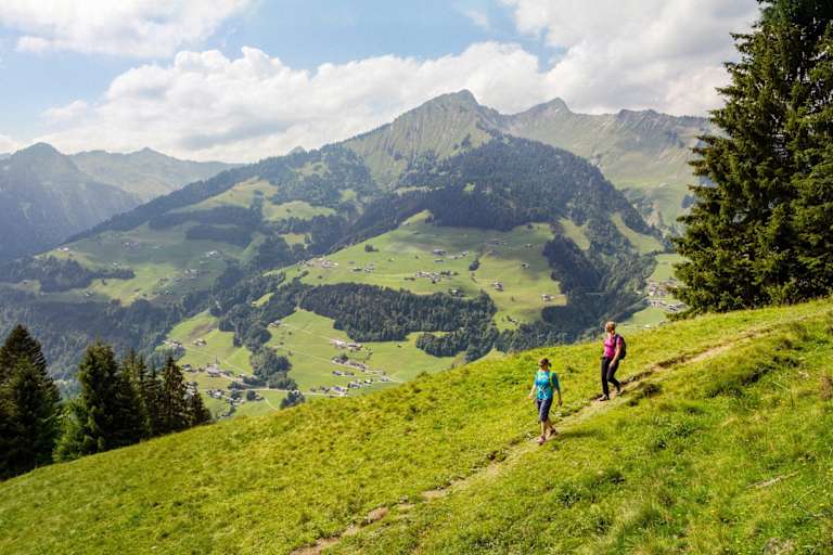 Bergsteiger auf einem Wiesenweg.