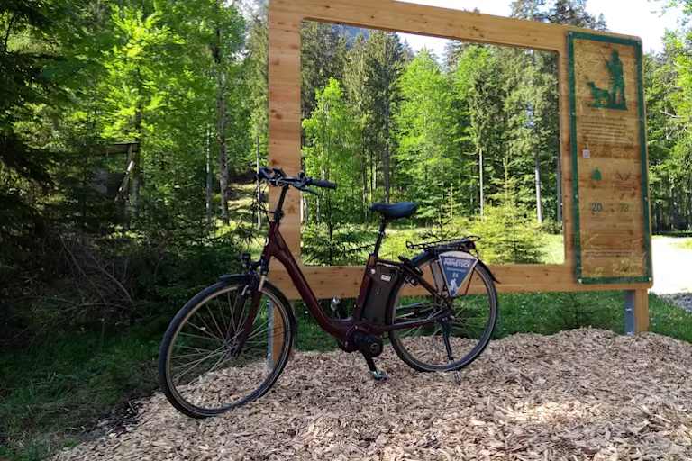 Am Waldblickweg im Naturpark Ammergauer Alpen