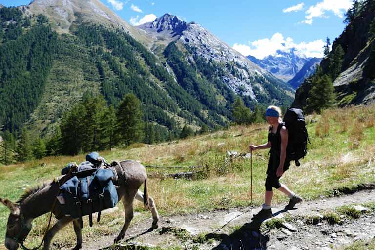 Esel-Trekking Provence
