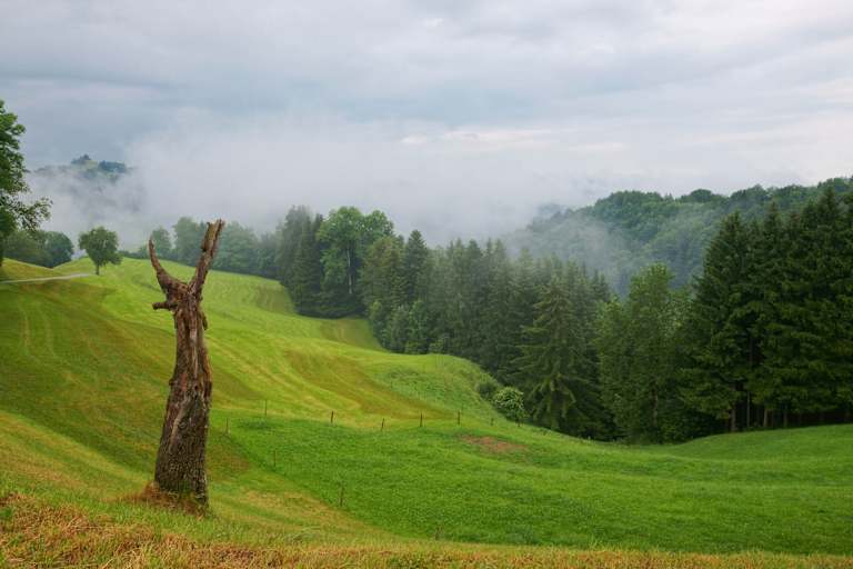 Thurgau