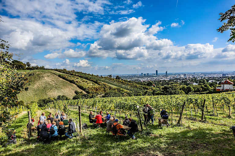 Wiener Weinwandertag