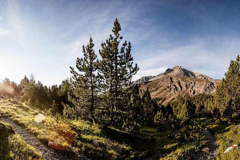 Wandern in Graubünden: Etappe 7 des Nationalpark-Panoramawegs von Zernez nach Lavin