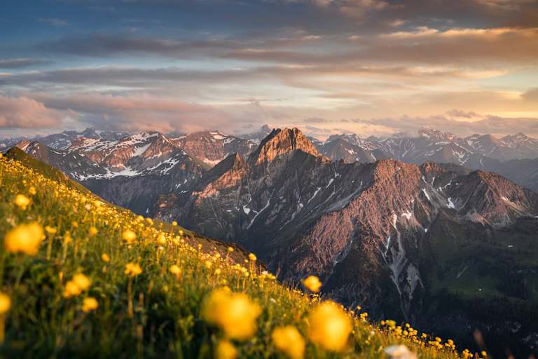 sommer in oberstdorf, berggipfel, blumenmeer