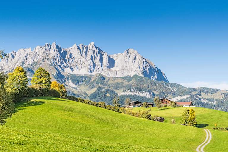 Ausblick auf den Wilden Kaiser