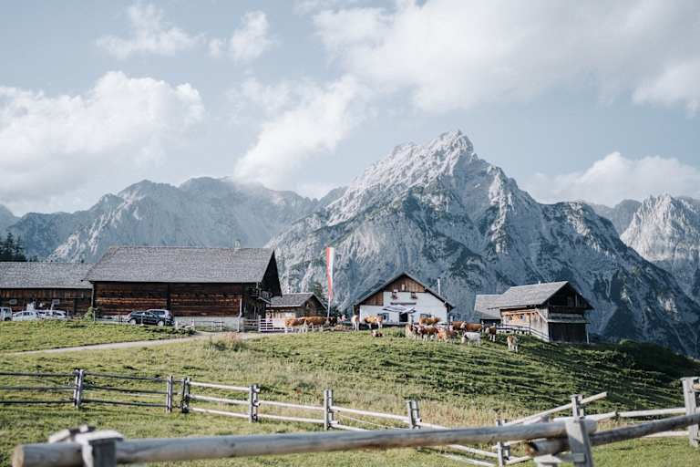Walderalm