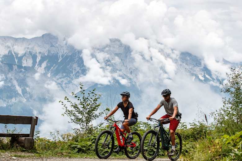 tarp teleskopstange Aluminium-Teleskopstangen sortcode_2120 Cube Lastenrad Ebike Cube Size:440(XS)