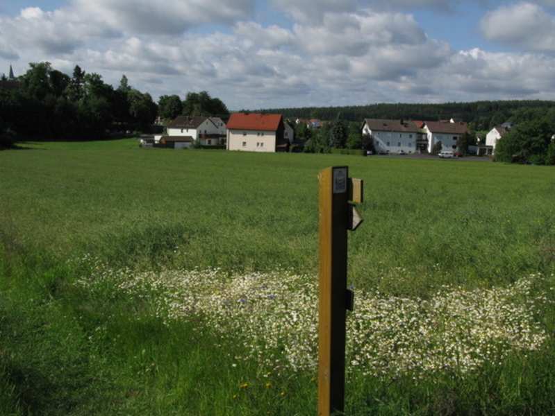 Goldsteig - Nordvariante - Etappe 2: Von Friedenfels nach Falkenberg