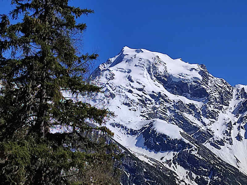 Blick auf den Ortler