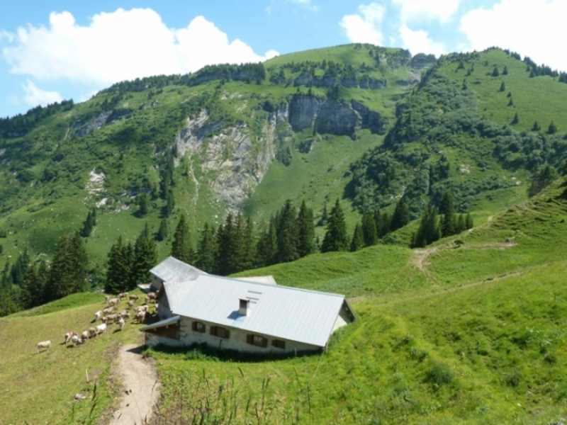 Foto Nüenalp