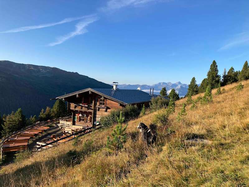 Boscheben im weichen Herbstlicht mit Hund Merle