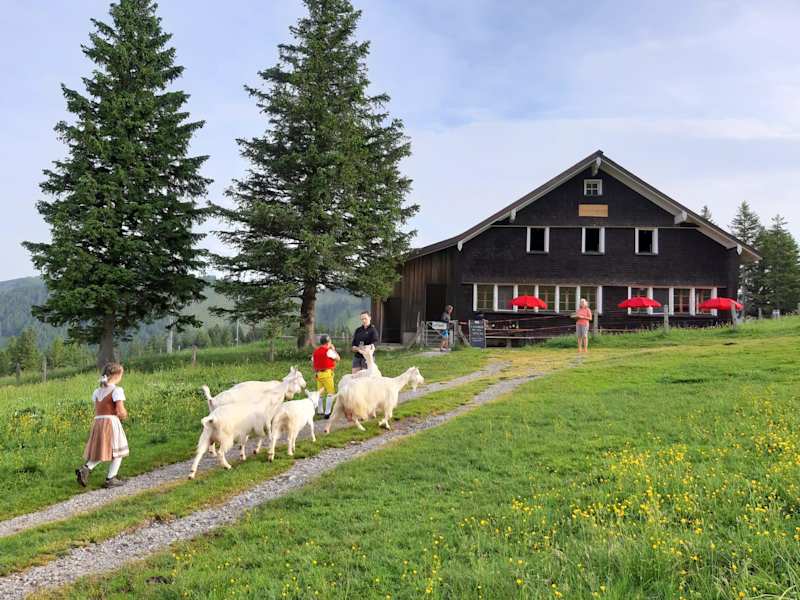 Die Chammhaldenhütte liegt am Fuße des imposanten Säntismassivs auf 1.385 m Seehöhe.