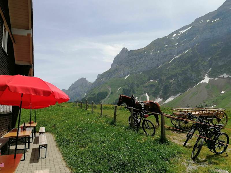 Mit dem Mountainbike auf die Chammhaldenhütte