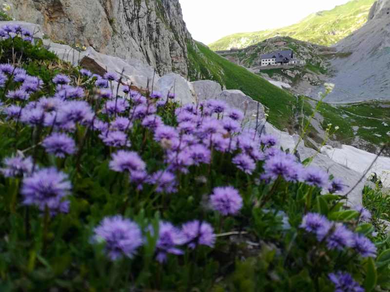 Rifugio Lambertenghi Romanin
