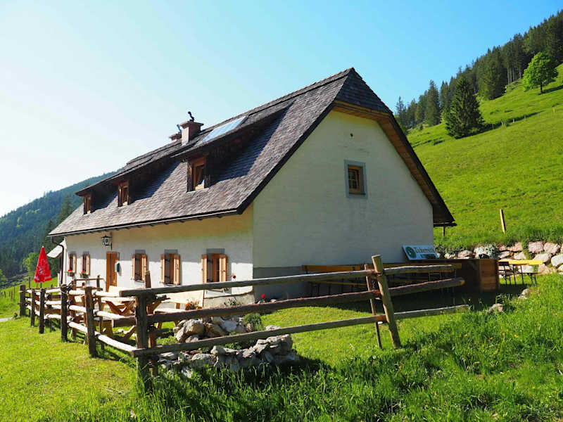 Die Zickerreith im Sommer