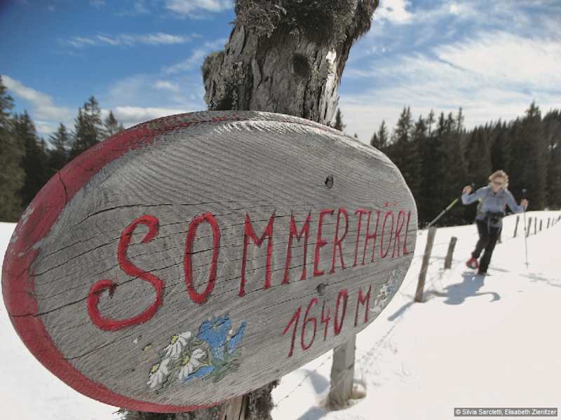 Am Sommertörl, 1644 m, ist schon unser Tourenziel auszumachen, das Gipfelkreuz des Rosenkogels.