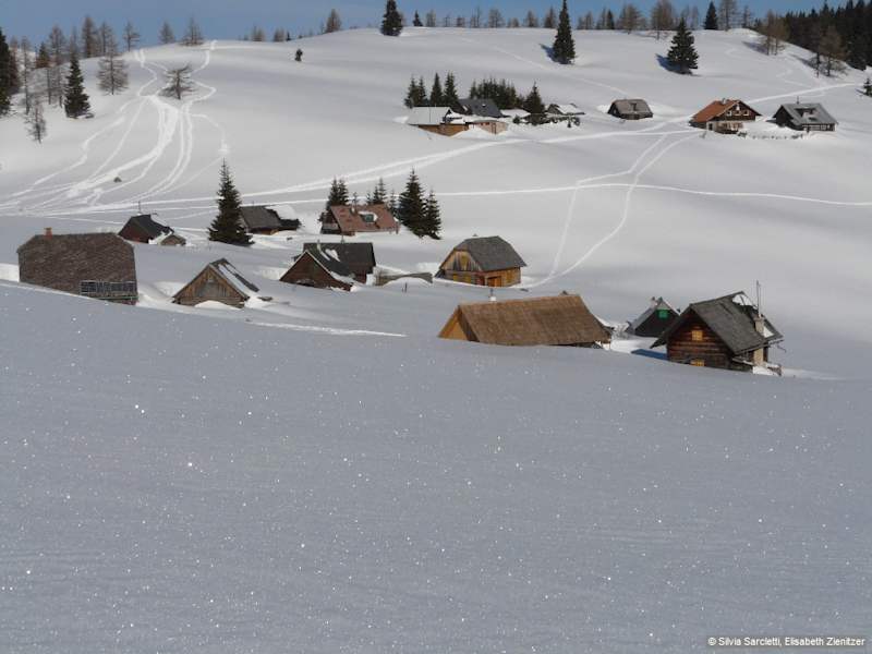 An der Göriacher Alm, 1429 m, halten wir uns links in Richtung Lappental/Seebergalm und gehen auf dem Forstweg bergab.