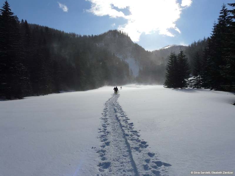 Vom Parkplatz an der Seebergalm führt der Wanderweg zum Seebergsattel in Richtung Westen.