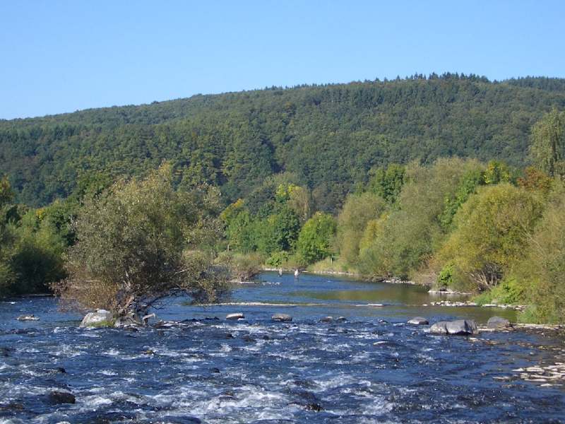 Dreisel
