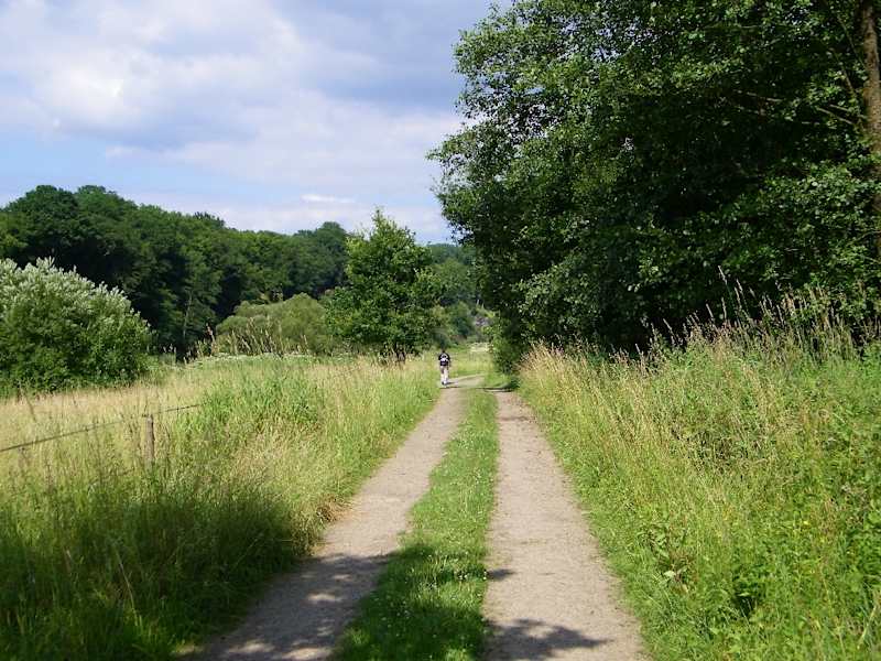 Wiesenweg