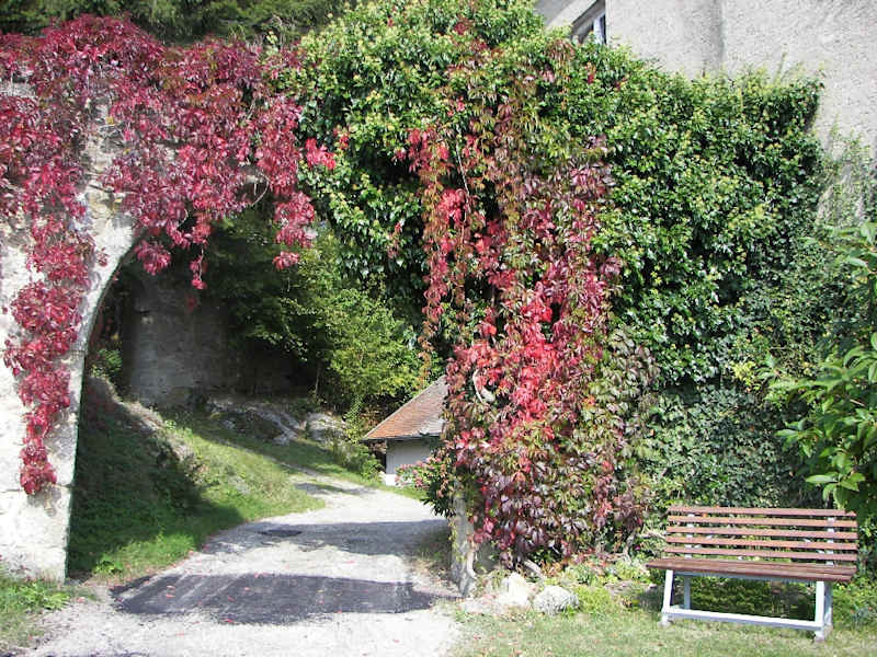 Burgruine Brennberg