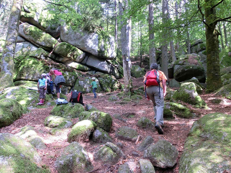 Höllbachtal