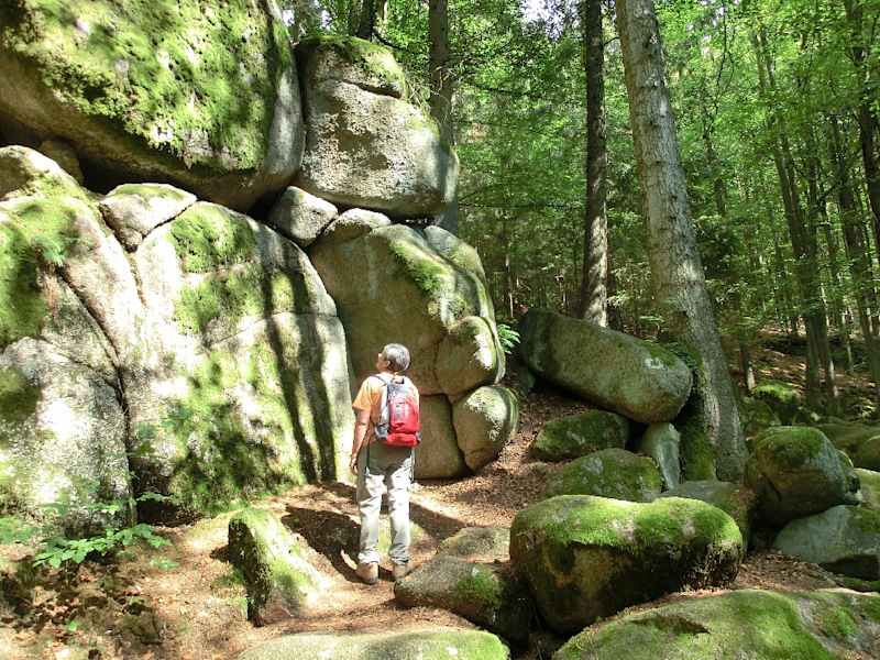 Höllbachtal