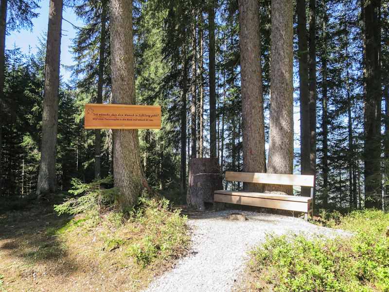 Schattige Rastbank am Weg der guten Wünsche