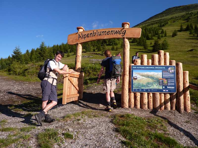 Der Alpenblumenlehrweg