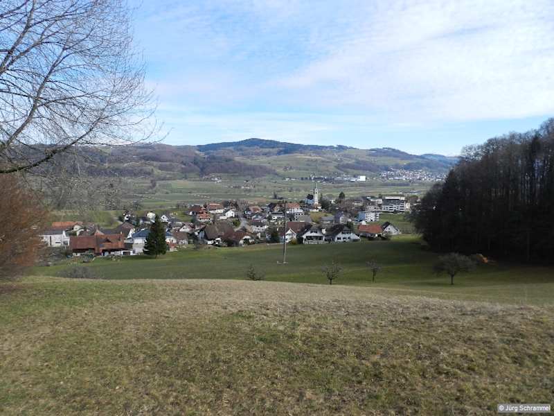 Von hier wieder flach oder nur sanft ansteigend zum Wannenrain und nach Feldlimoos. Bei P. 681 überschreiten wir die Grenze zum Kanton Luzern (Grenzstein).