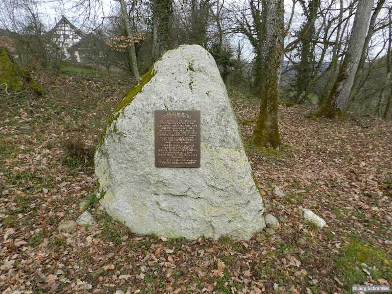 In den Wald, wo der Weg zunächst relativ steil ansteigt, dann kurz flach verläuft und schließlich erneut abwärts führt, dieses Mal nach Waldhausen.