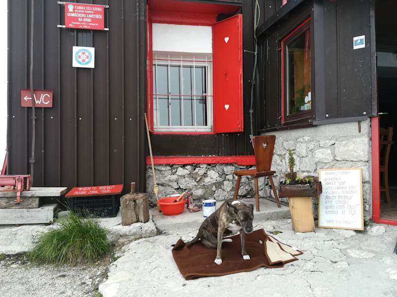 Gomiščkovo zavetišče na krnu