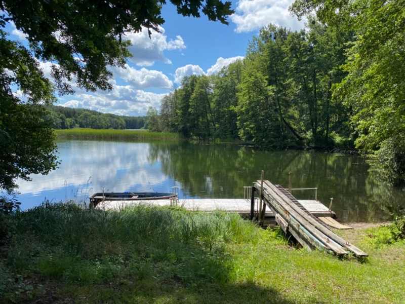 Dreetzsee