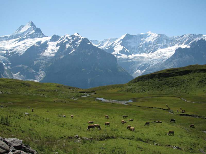 Untergwegs von First nach Bort