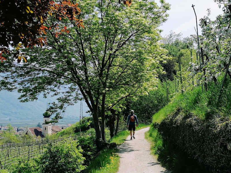 Waalweg oberhalb von Lana