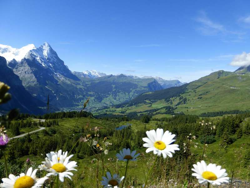 Rundwanderung Reichenbachtal